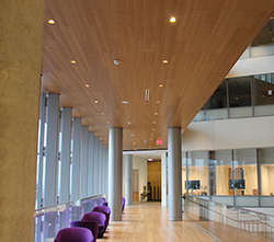 Northwestern University Kellogg School of Management_F.jpg